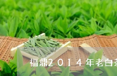 福鼎2014年老白茶价格/2023033109693