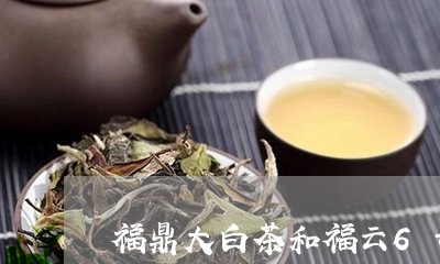 福鼎大白茶和福云6号区别/2023033069625