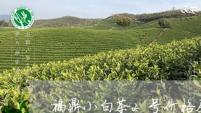 福鼎小白茶2号价格及图片/2023033181603