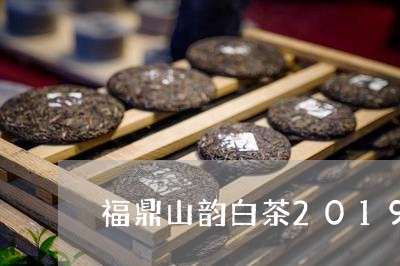 福鼎山韵白茶2019价格/2023033031492