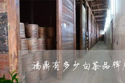 福鼎有多少白茶品牌店在哪/2023041797169