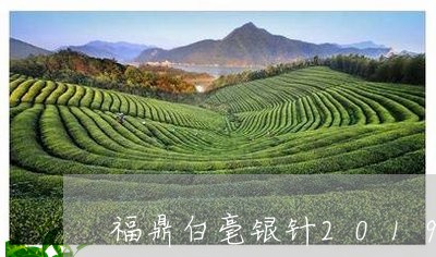 福鼎白毫银针2019价格/2023033018393