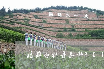 福鼎白牡丹茶饼2012年/2023033131705