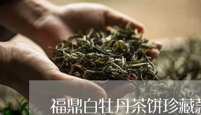 福鼎白牡丹茶饼珍藏款价格/2023041733717