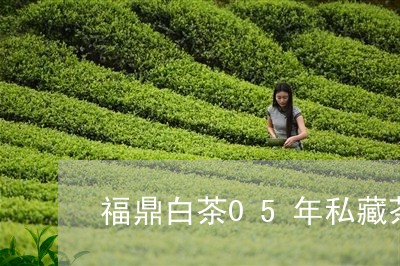 福鼎白茶05年私藏茶价格/2023033124725