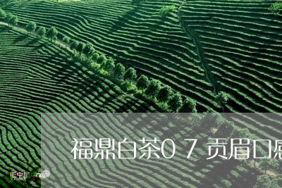 福鼎白茶07贡眉口感怎样/2023033012593