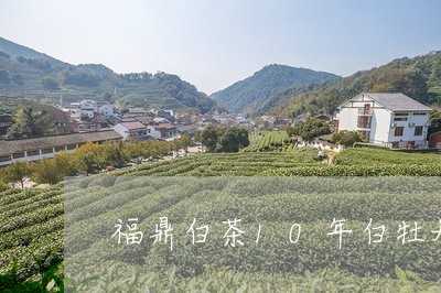 福鼎白茶10年白牡丹茶饼/2023033012815