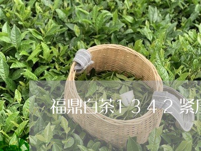 福鼎白茶1342紧压眉/2023033076057