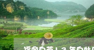 福鼎白茶13年白牡丹价格/2023033119572