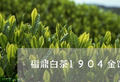 福鼎白茶1904金饼茶叶/2023033172948