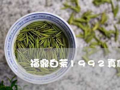 福鼎白茶1992真假辨别/2023033050581