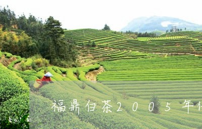 福鼎白茶2005年价格表/2023033057370