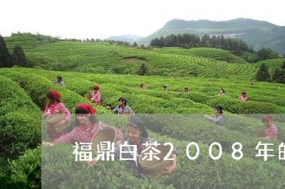 福鼎白茶2008年的价格/2023033129625