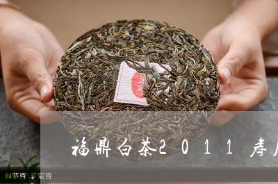 福鼎白茶2011寿眉价格/2023033175928