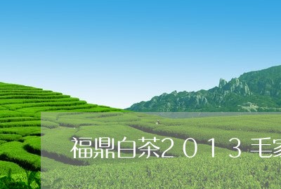 福鼎白茶2013毛家作访/2023033109583