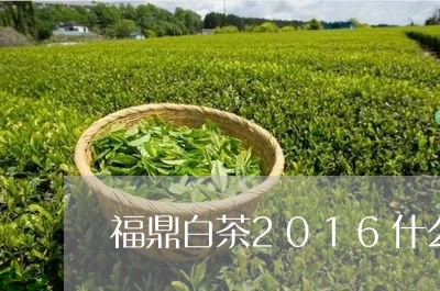 福鼎白茶2016什么价格/2023033093069