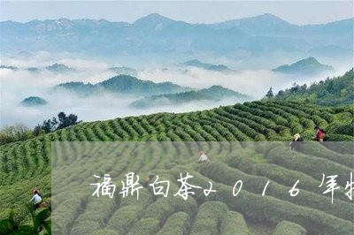 福鼎白茶2016年牡丹王/2023033009381