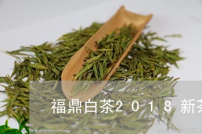 福鼎白茶2018新茶价格/2023033090614