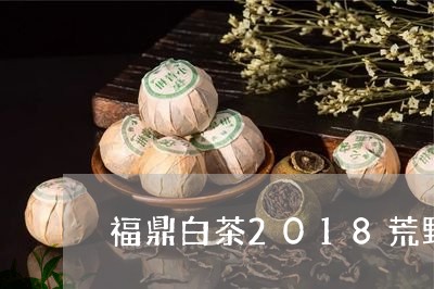 福鼎白茶2018荒野牡丹/2023033014815