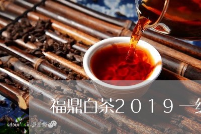 福鼎白茶2019一级寿眉/2023033084949