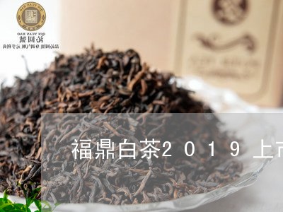 福鼎白茶2019上市时间/2023033004059