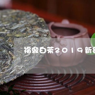 福鼎白茶2019新锐企业/2023033060470