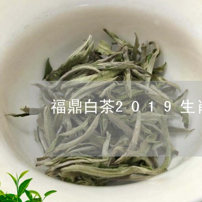 福鼎白茶2019生肖系列/2023033067369