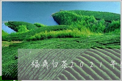 福鼎白茶2021年生肖茶/2023033041835