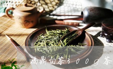 福鼎白茶300g茶饼珍藏/2023033042027