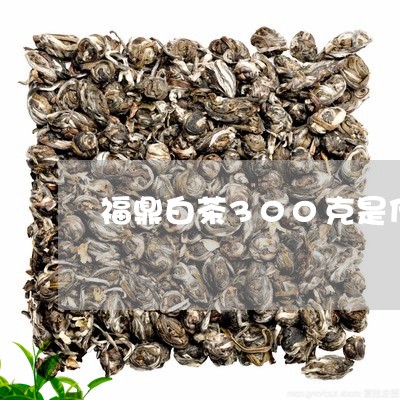 福鼎白茶300克是什么茶/2023033087049