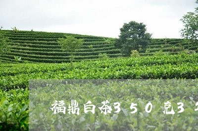 福鼎白茶350克3年价格/2023033113739