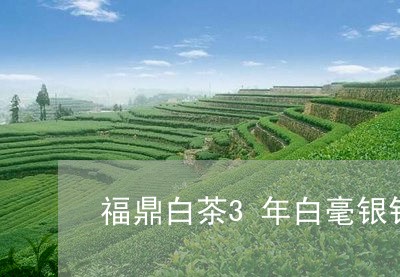 福鼎白茶3年白毫银针价格/2023033062804