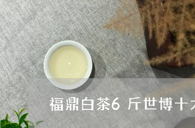 福鼎白茶6斤世博十大名茱/2023033032825