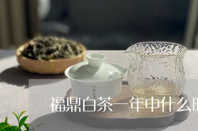 福鼎白茶一年中什么时候低/2023041727179