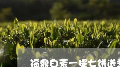 福鼎白茶一提七饼送煮茶器/2023041737360