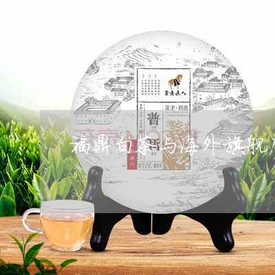 福鼎白茶与海外旗舰店区别/2023041706048