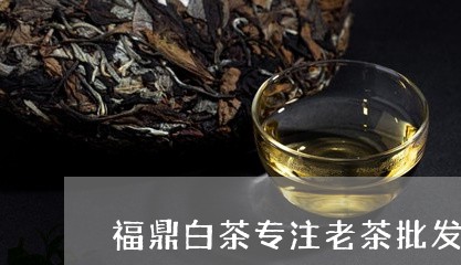 福鼎白茶专注老茶批发价格/2023041704149