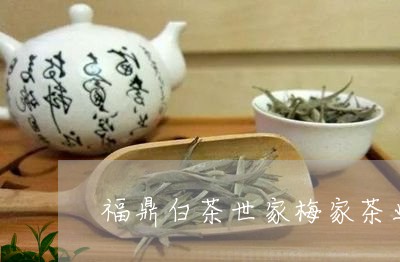 福鼎白茶世家梅家茶业价格/2023041799593