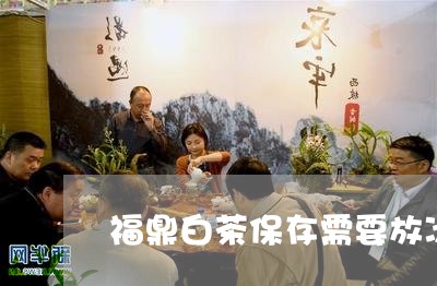 福鼎白茶保存需要放冰箱吗/2023041783849