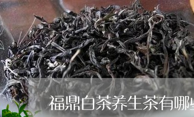 福鼎白茶养生茶有哪些牌子/2023041764038