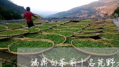 福鼎白茶前十名荒野老白茶/2023041757391