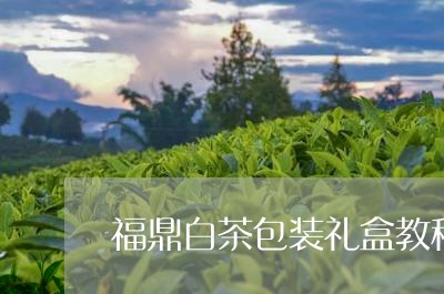 福鼎白茶包装礼盒教程视频/2023041797151