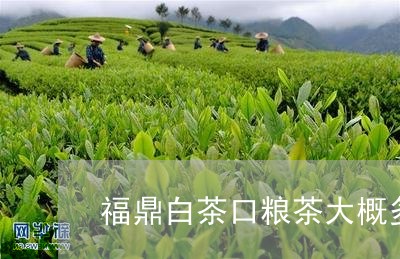 福鼎白茶口粮茶大概多少钱/2023041659617