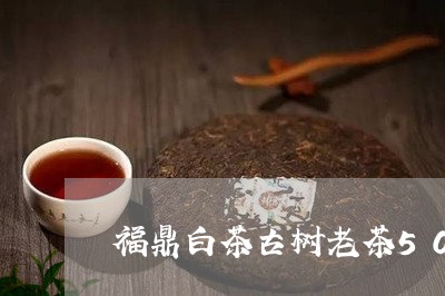 福鼎白茶古树老茶500克/2023033142593