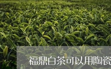 福鼎白茶可以用陶瓷保存吗/2023041607591