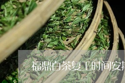 福鼎白茶复工时间安排最新/2023041626946