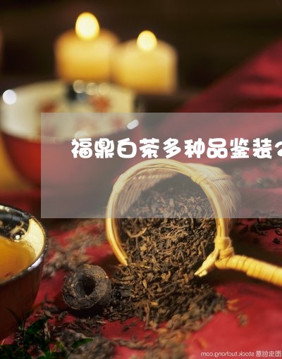 福鼎白茶多种品鉴装25g/2023033155388