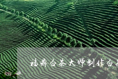 福鼎白茶大师制作白茶价格/2023041625271