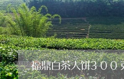 福鼎白茶大饼300克价格/2023033132825