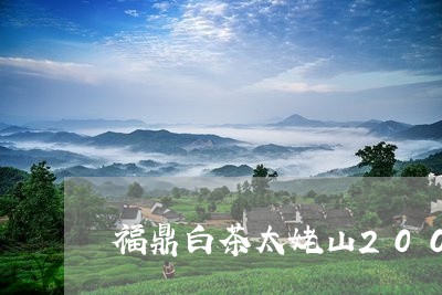 福鼎白茶太姥山2009年/2023033105846